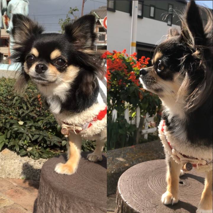 6d94fff8 5fc0 4956 8fc6 8ab6fef3960a 1574205209796