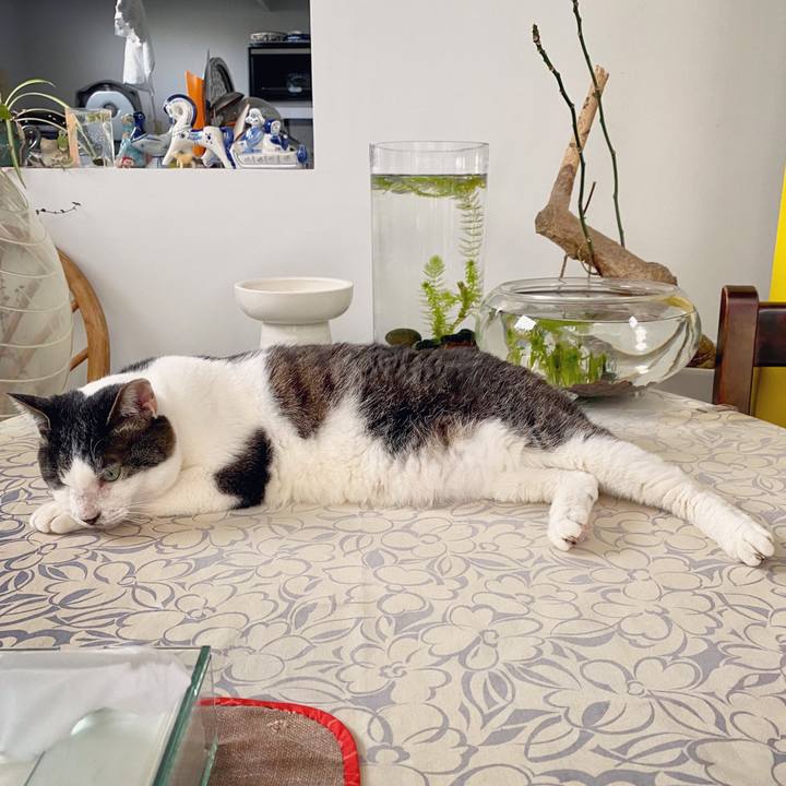 6d9517c0 afac 4b3f 8bfd 493f6da47417 1589100884972