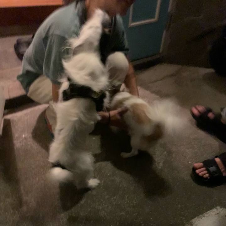 6d958598 3bc2 4e15 9882 4bb481fd3ec0 1662987004650