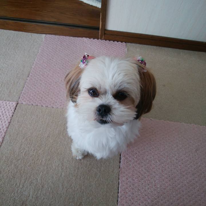 6d95b8b9 97d6 423e bf4e abac576aa54a 1520053126482