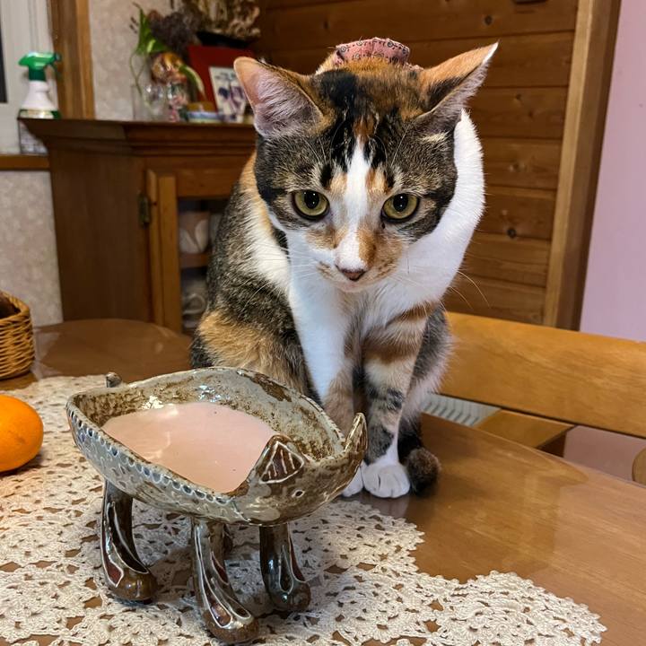 6d95f396 5b95 4357 bad3 7d18f7921973 1670666291664