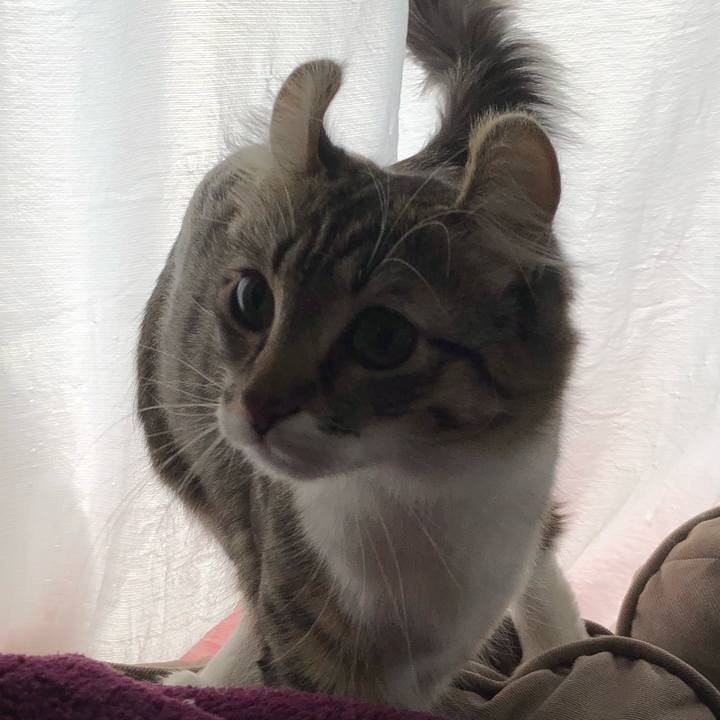 6d960cb4 f828 4ce3 a723 2fb222114677 1518484158800