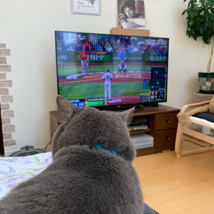 6d962d43 985f 4ac3 b4c9 d797c85b1573 1679356852251