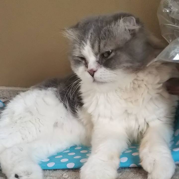 6d96ab86 b6af 4284 904f af00d27fb961 1632102498142