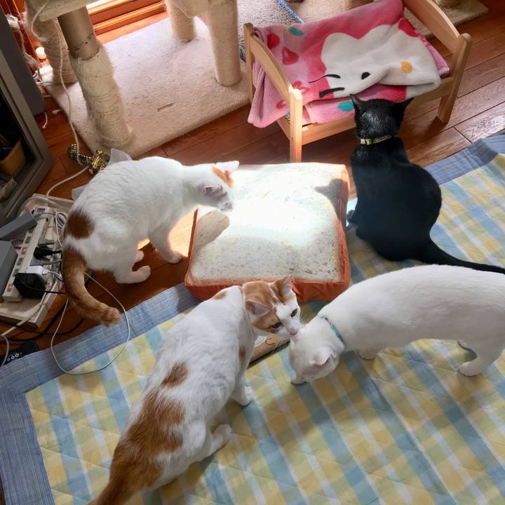 6d96b71d e0d0 42a2 be9f fcc7236e7f8f 1525510432500