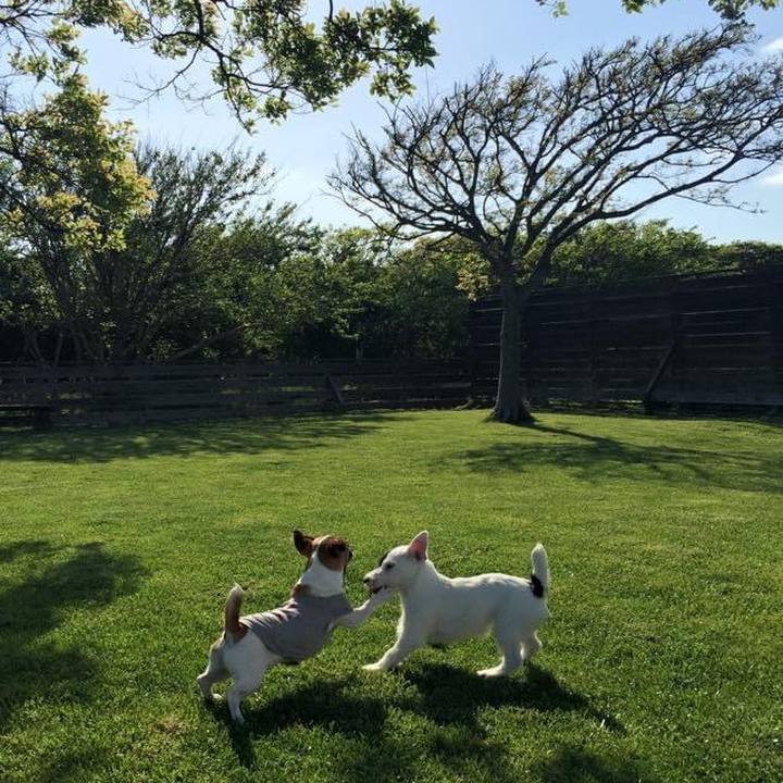 6d96e906 4a92 4063 832c 711b692de472 1651401343221