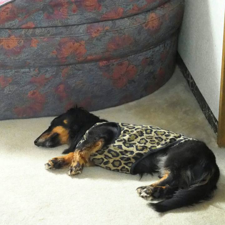 6d9750ed 4e02 4e61 a86c 7656b6589477 1596679838790