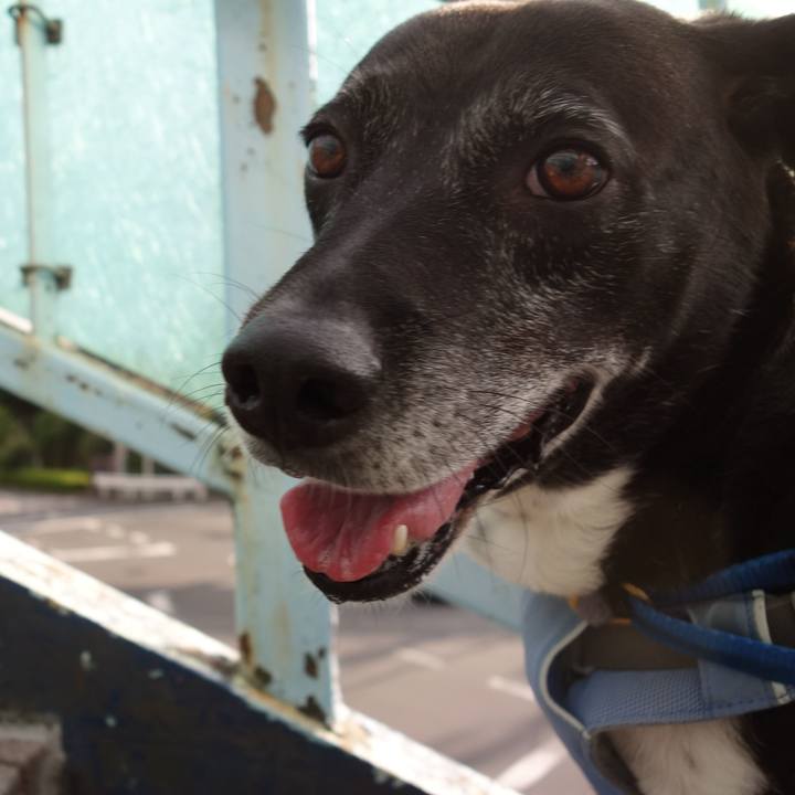 6d976061 a033 4aa0 bcb2 0e89c9a6a1cc 1751761040699