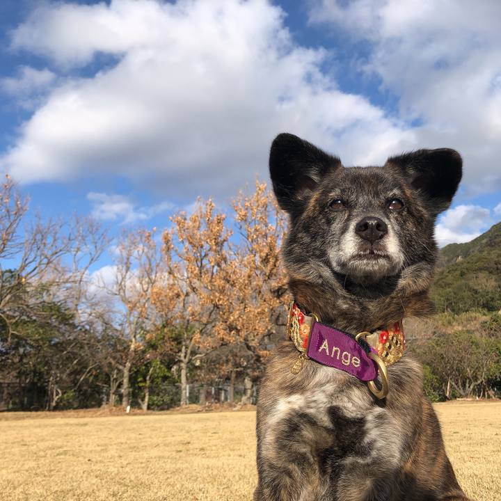 6d978a68 7e4f 4fb1 91a0 e761a5915d5a 1614249734929