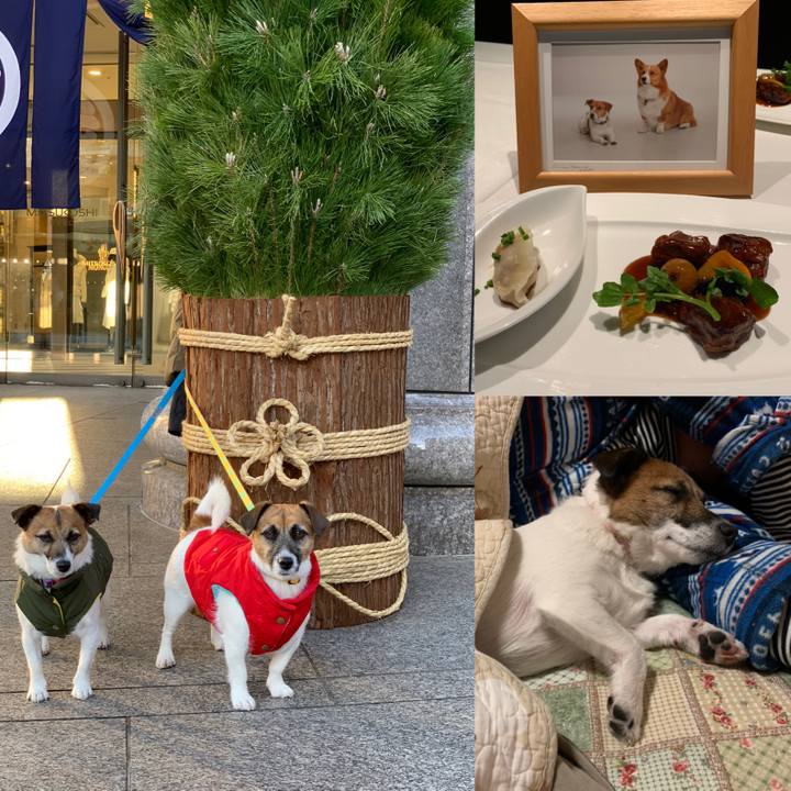 6d97d7ad 6125 4950 a646 842cb4ac3e0a 1577956676508