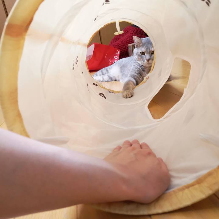 6d97dd01 f300 47c7 b27e 49ac613e605d 1563200516105