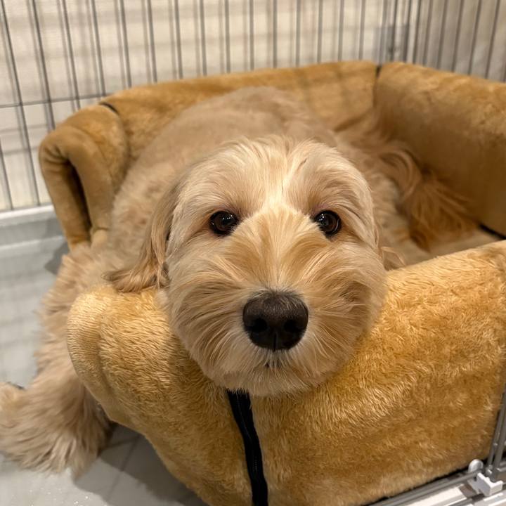 6d98266e 6151 4aff bd51 b16e2e29efa6 1764322475865