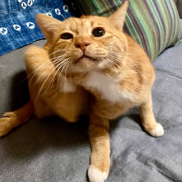 6d98b5cd 4c84 4a69 8c97 2eba53af6111 1767235132657