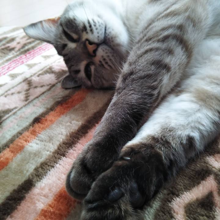 6d98d56d 801c 483b b89f ce0510f9ce57 1556080690003