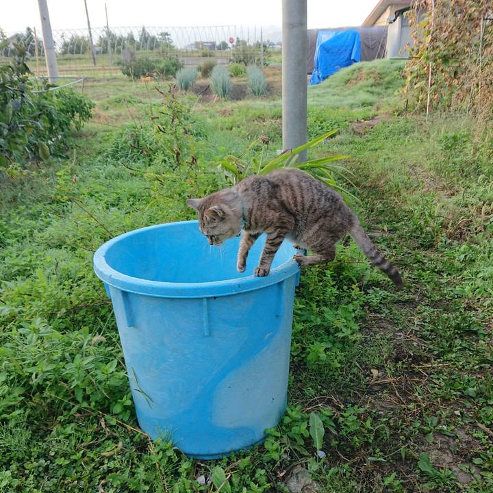 6d9923f7 063d 4d42 930a cd771c1d600c 1569359496663