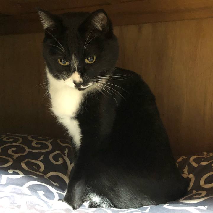 6d99418d 9f23 47fe b75f a24c2175efaf 1648007105092