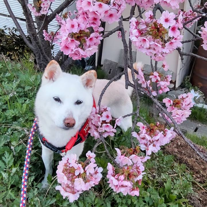 6d997383 819c 4437 9528 4cf58b2023e7 1713087077825