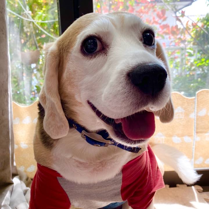 6d998cb1 890b 4770 95f8 abbbd4f3e062 1619764010822