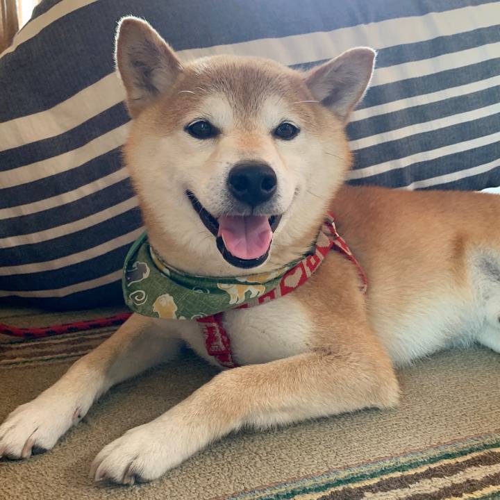 6d99bfde dc81 4c29 81bc 839c205fb049 1593167264596