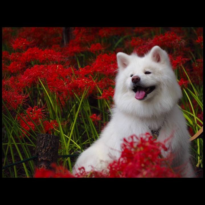 6d99c0fe 9b84 49a5 b86b ae536658873d 1537601720537