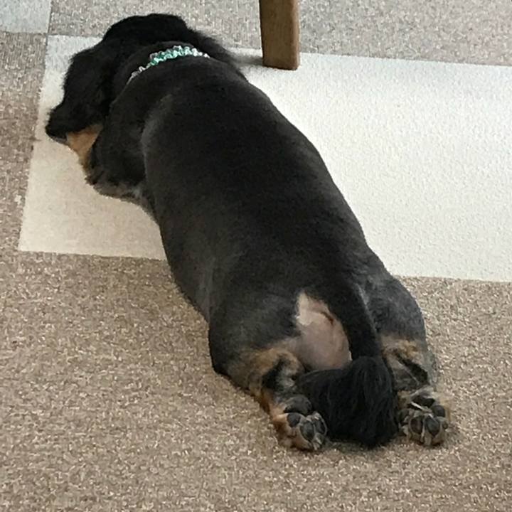 6d99c277 5b37 4dc6 a459 61c42aaa9c57 1516746941194