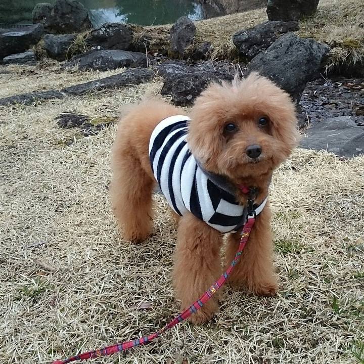 6d99c82f 8d51 48a2 b3a8 def2995070b7 1520475735286