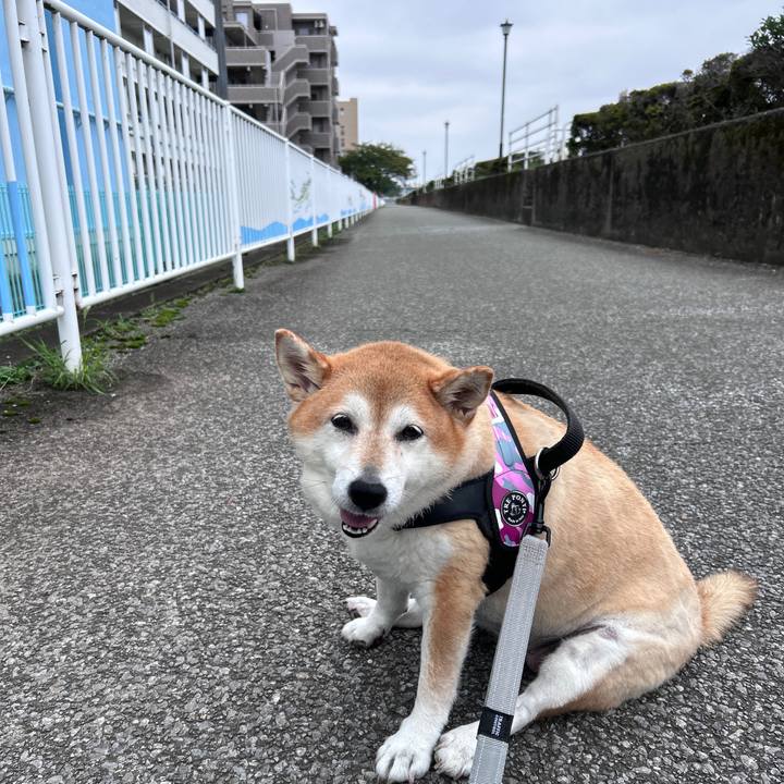 6d99d1e3 9a46 42b6 8dbb e78944f6961e 1728180918493