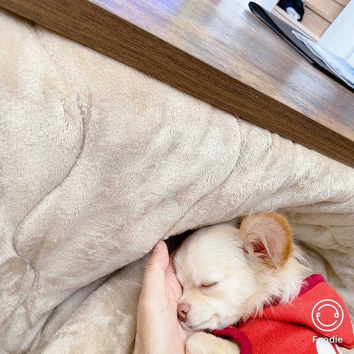 6d9a0939 9198 43b1 ac33 fbab320d570e 1606785615350