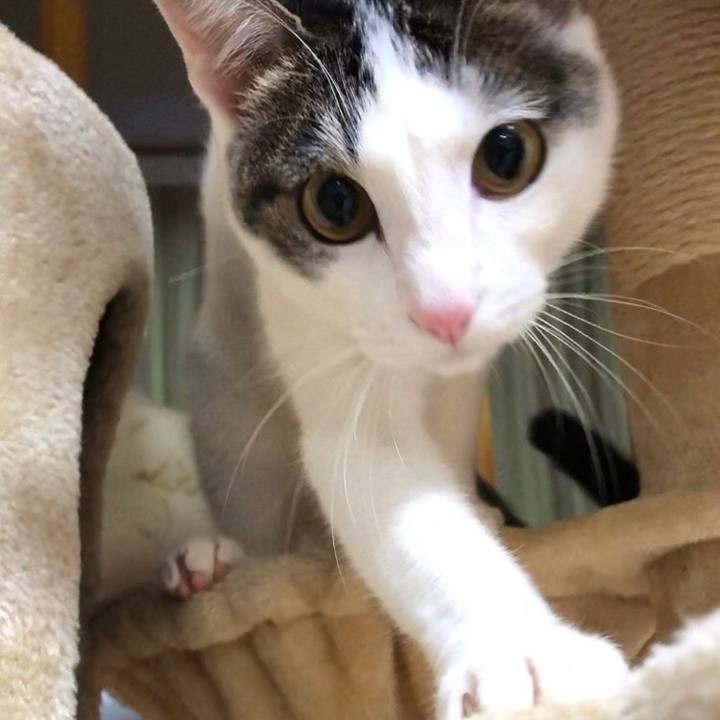 6d9a3feb 8399 4eb5 b845 37058730c893 1579781796351