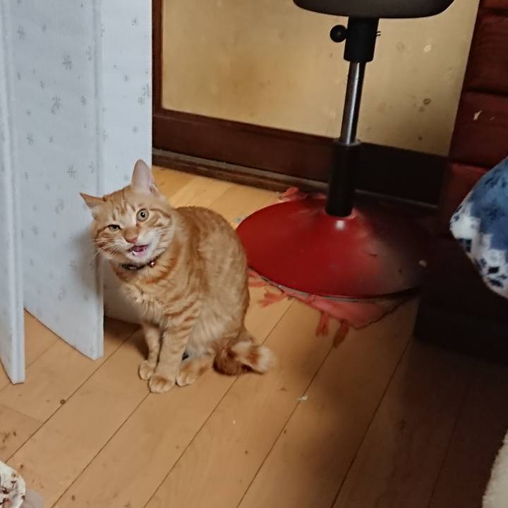 6d9a9011 fe37 4d44 a253 55e76c988886 1645611123007