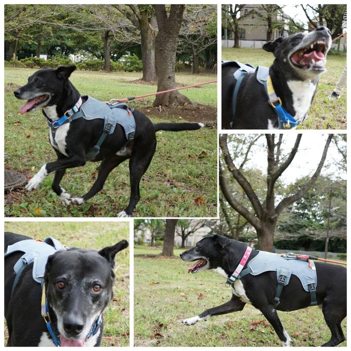 6d9a9ebe db27 4031 ba83 6260cec81a1c 1760402901546