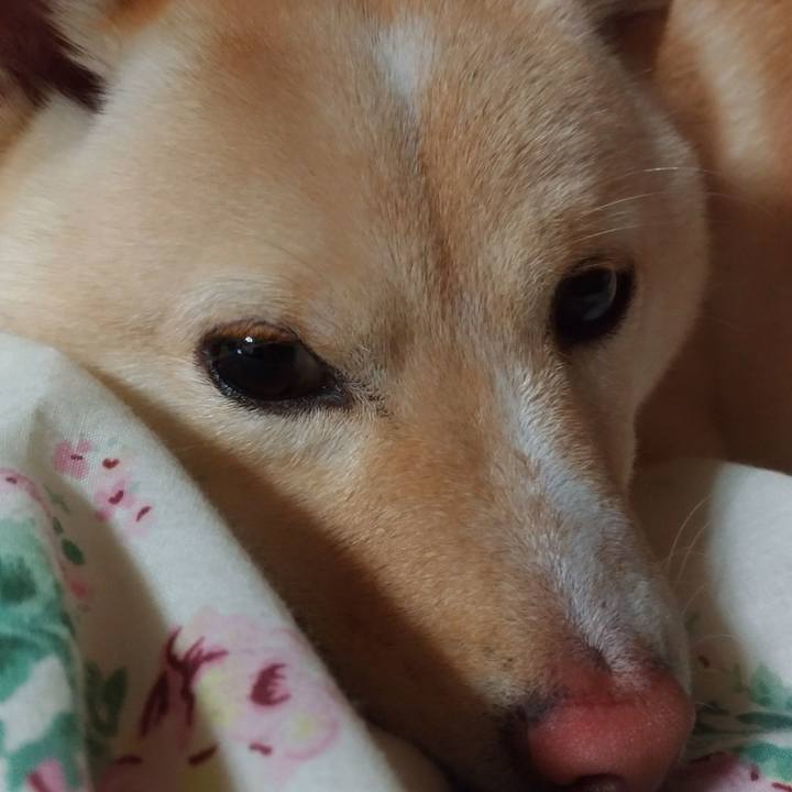 6d9ad7a3 5eda 4b11 ab80 cfc1ac2f0cfe 1518869085239