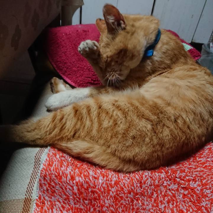 6d9aed87 17eb 49b3 be58 eb411a297464 1555620098171