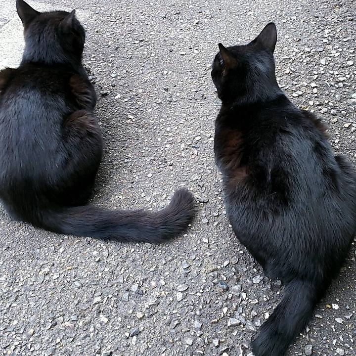 6d9b0489 c123 4fc7 89e7 9cf2157f9c71 1550981047477