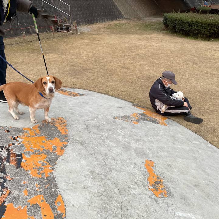 6d9b2266 5d54 438e 871a 75d177464235 1673001283649