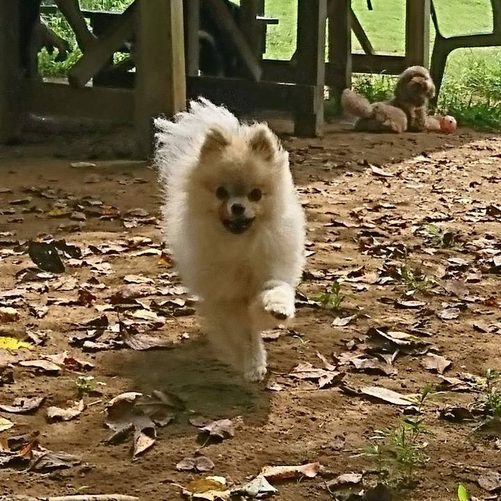 6d9b2d2a 8f16 409e b6fe 2e111cd36665 1537236741013