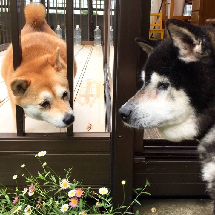 6d9b562d 4ade 48cc a9ac 03cb89adf703 1526195538998