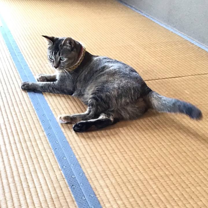 6d9b566d 42f7 4818 b242 94c7dfb86533 1623396378846