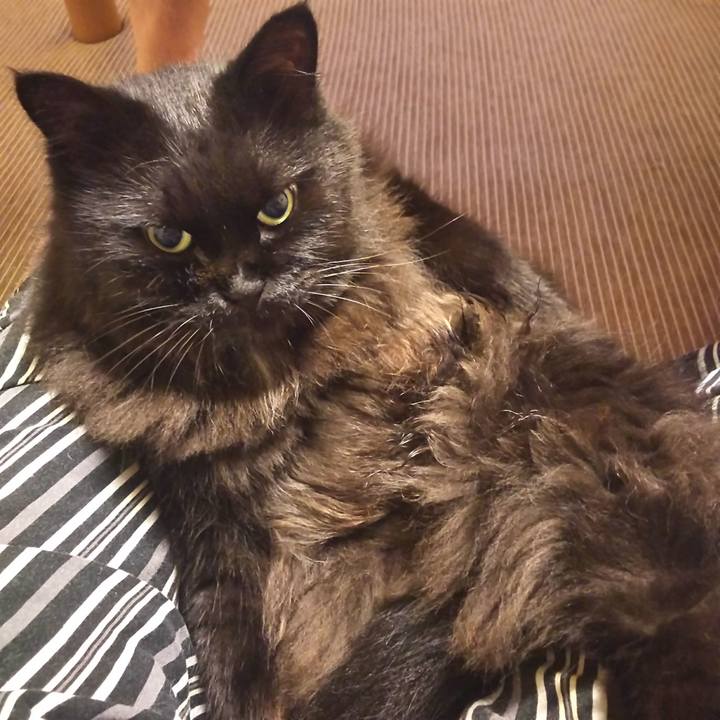 6d9b83f3 636b 4618 8bc2 fc6cf5a0bfbc 1566988140051