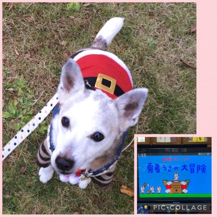 6d9b8f93 9055 4f82 b2c7 eae02f438654 1766700221684