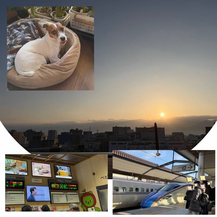 6d9ba07c b219 41f2 ad76 75af47f7284b 1770852714095