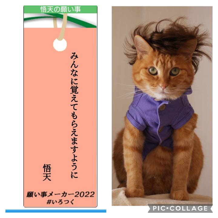 6d9bac81 f3b9 4536 aab0 4d287b4c28a6 1657362509768