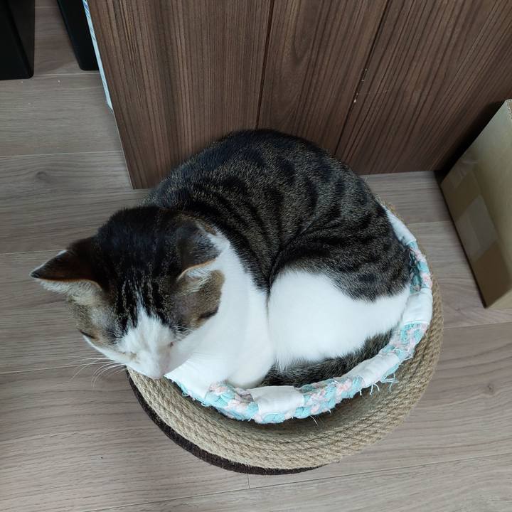 6d9bae1f ee9b 4c13 b65b 3d8403f9244d 1654207093492