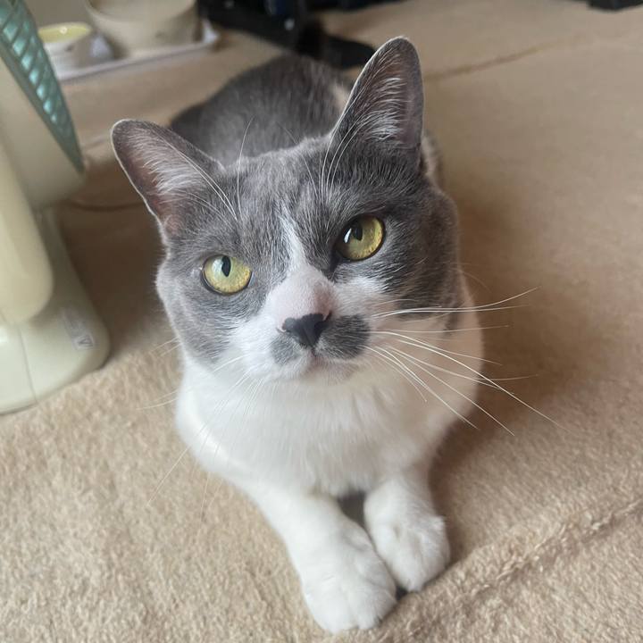 6d9c0274 01a5 4aa8 a95f 854285d04564 1747784679607