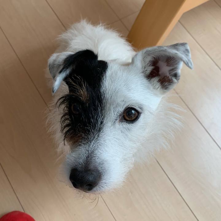 6d9c1cf9 4bd7 40f7 aab5 a9a9a4bdd19b 1621465714709