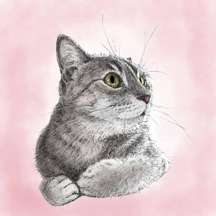 6d9c4977 5e77 49c2 bf96 564b7dd71cee 1570631177095