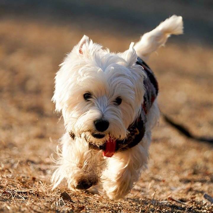 6d9cae77 2eb1 4efe 95ef e21a7fc298d2 1518011210467