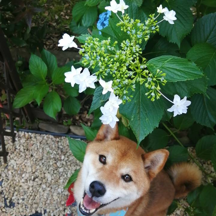 6d9d0b97 090e 48ee 9083 9d45dc5c7752 1592306680175