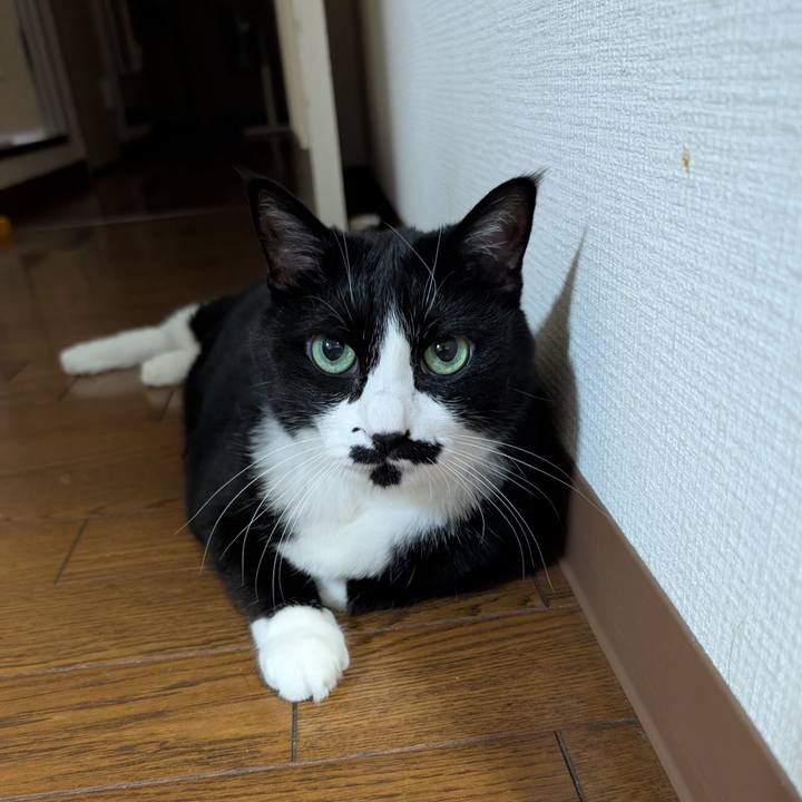 6d9d1e2a f6a6 4689 a2b6 dadbd5806c65 1755854548984