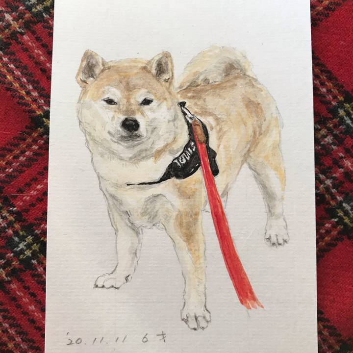 6d9d1fe1 c5c7 4150 8bc8 bd55d84b64f4 1613341360892